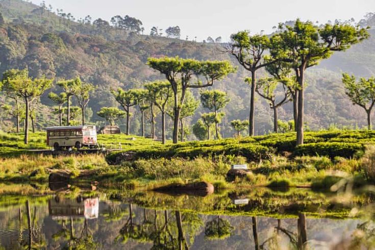 Nuwara Eliya City & Tea Plantations